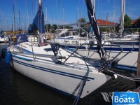 Finngulf 36