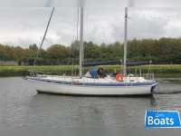 Morgan Out Island 41