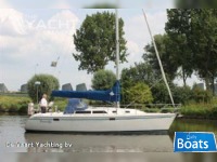 Catalina 320