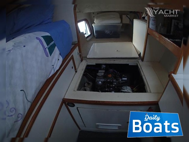 Acheter 1990 Shuttleworth 44