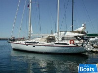 Amel 54