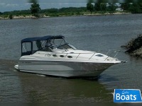 Regal 2660 Commodore