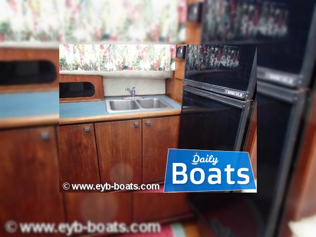1989  Bayliner38