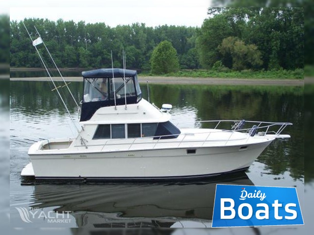 1989 Silverton Convertible