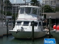 Stapleton Sport Fisherman