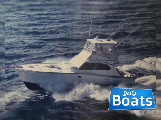 Fairline Targa 37