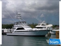 Striker 62' Convertible