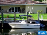 Gamefisherman Express Sportfisherman