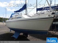 Hunter Ranger 265