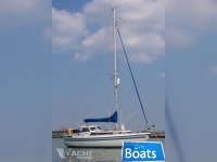 Mascot 28