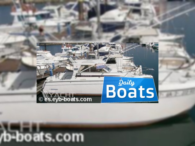Southern Cross 35