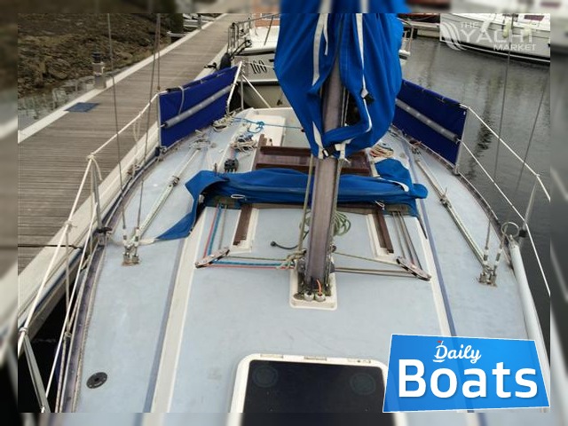 Buy 1981 Seawolf 26