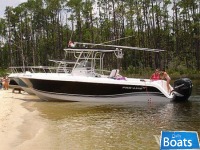 Pro Line 31 Sport