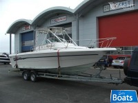 Pro Line 231Wa