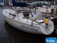 Catalina 36