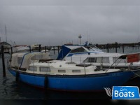 Great Dane 28