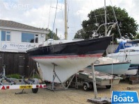 Contessa 26