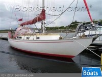 Rustler 31