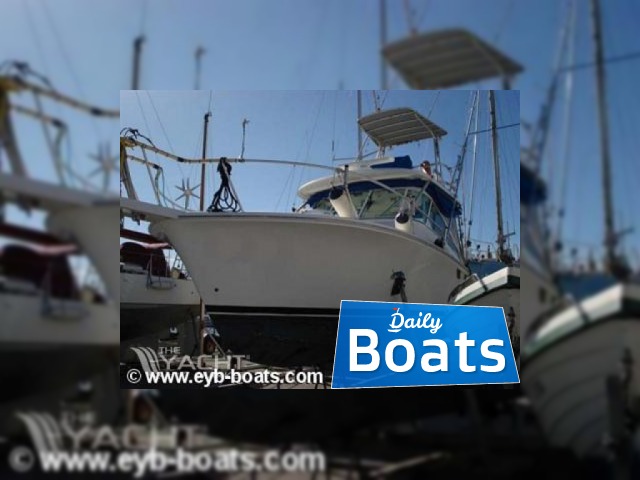2004  Luhrs32