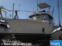  Luhrs32
