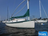 Hinterhoeller Nonsuch 26