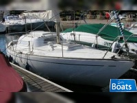 Mallard Ecume De Mer