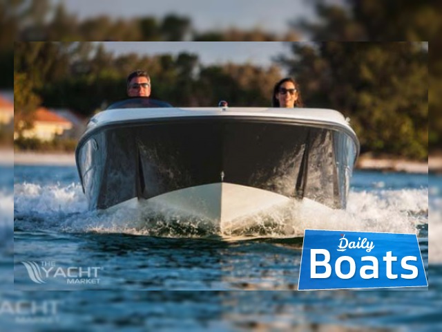 Buy 2014 Bayliner Element