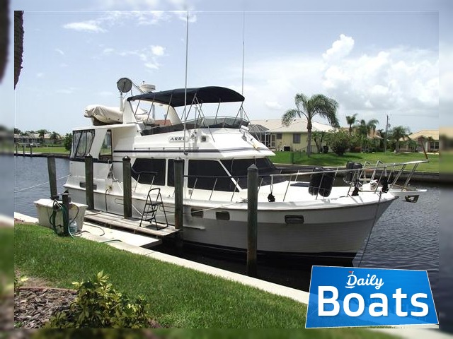 Buy 1988 Present Sundeck Trawler