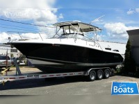 Triton 301