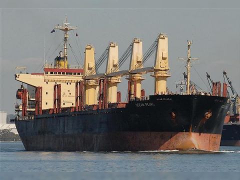 Cargo geared Bulk/Lumber Carrier built Japan