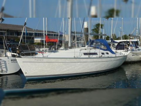 Moody S31