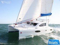leopard 38