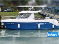 ARVOR250