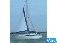 Leisure 27