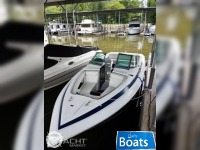 Cobalt 25