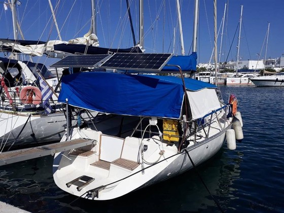 Atlantic 31
