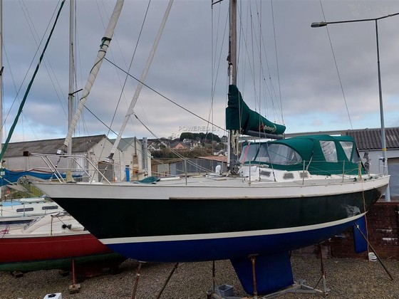 Van de Stadt Zeehond