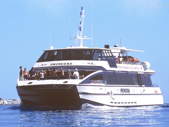Commercial Boats Custom Commercial Catamaran