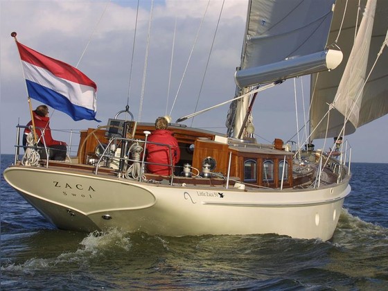 Zaca 50