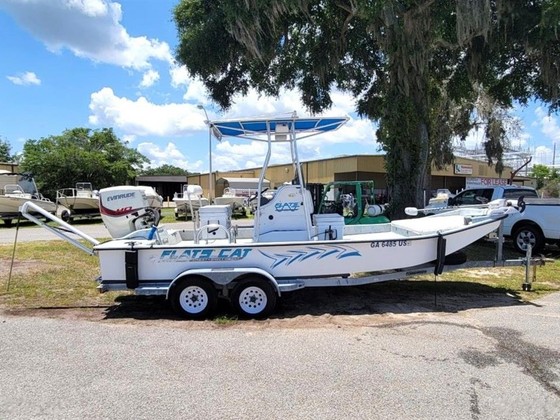Flats Cat 21