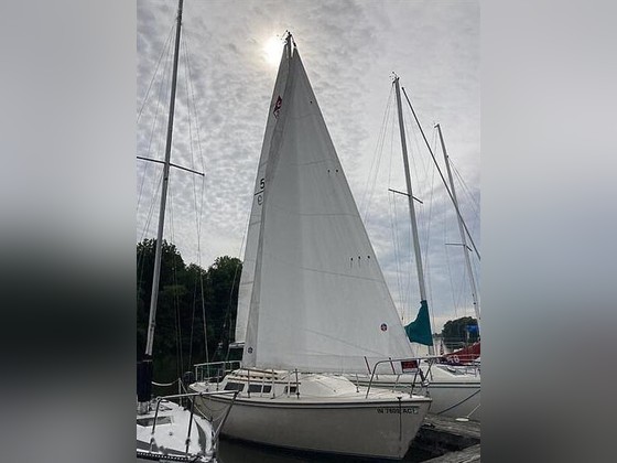 Catalina Yachts 250