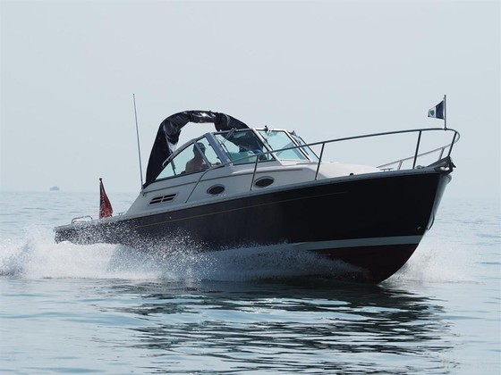 Back Cove 26